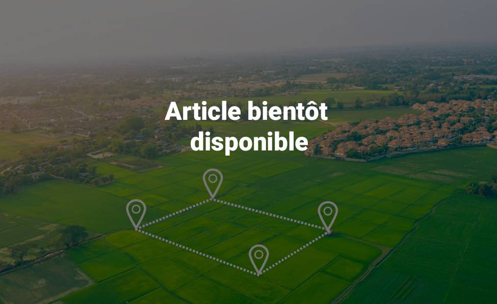 Article bientôt disponible